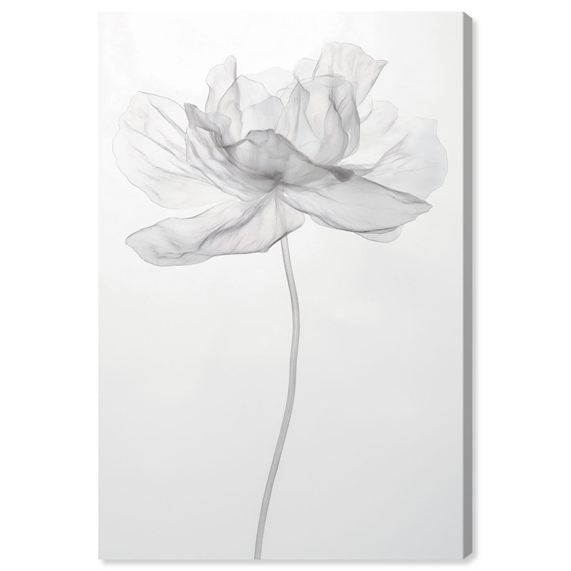 Décoration murale Flode Preciousness I par Art Remedy, H 30 po x l 20 po, Toile tendue, Peinture sans cadre