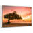 Floating Frame White selected