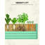 Plant Stand