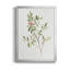 Toile encadrée simple Sprig IV de qualité supérieure - prête à être accrochée-1831561988-1831561986