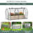 4.04' W x 1.87' D Mini Greenhouse-83677426