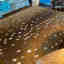 Photos des clients 1 de 1