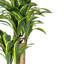 52'' Faux Plant in Pot