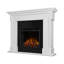 Thayer 54" Electric Fireplace by Real Flame-892073671