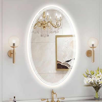 Miroir de salle de bain ovale à DEL avec éclairage avant et arrière, trois températures de couleur, gradation continue et fonction antibuée