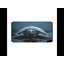 Polyester Desk Pad-957596709