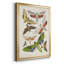 Antique Moths II - impression d'un seul cadre photo-1528863873-1528863886