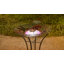 Bain d'oiseaux solaire