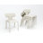 5-piece Black Willow Dining Set