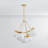 Duxbury 5 Light Chandelier