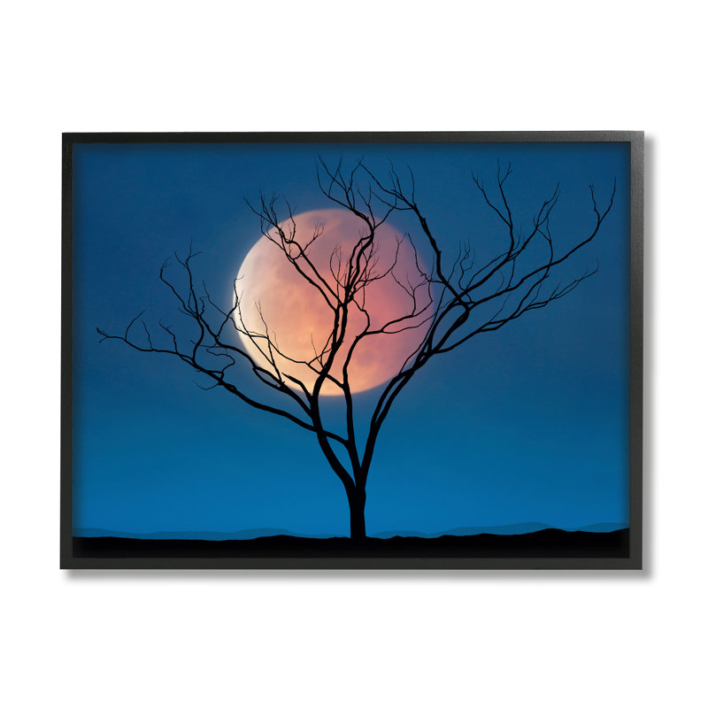 Poupée de Stupell Industries, art de la giclée encadrée par Lee Sie, H 11 po x l 14 po x P 1,5 po