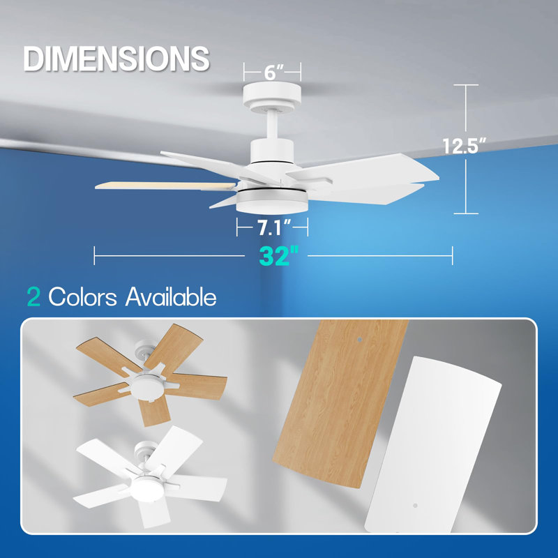 Ceiling Fans with Lights and Remote, 32" Wide, White