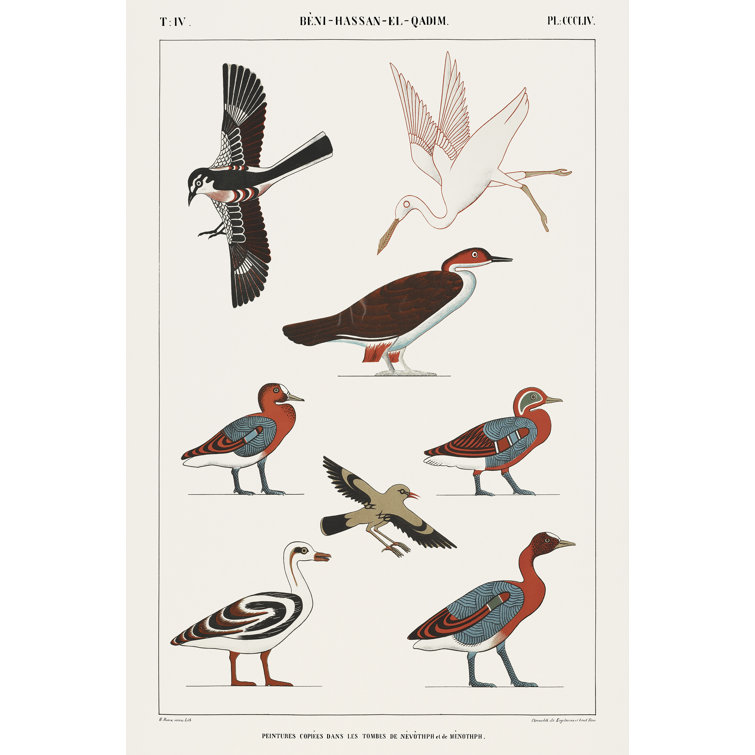 Winston Porter Egyptian Bird Charts IV On Canvas by Jean Francois ...