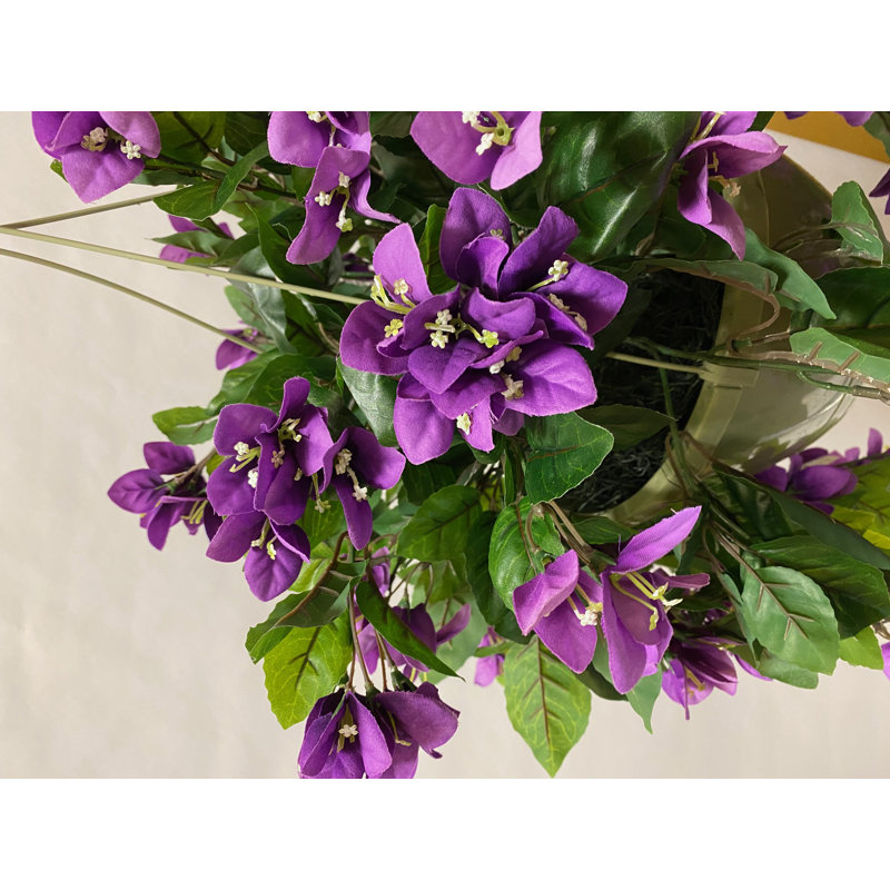 Panier suspendu en pot Bouginvillia
