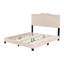 Grand lit tapissier beige, plateforme en velours moderne avec tête de lit et ornement en forme de rivet, cadre de lit en velours sans sommier, détails, fabrication, nécessaire