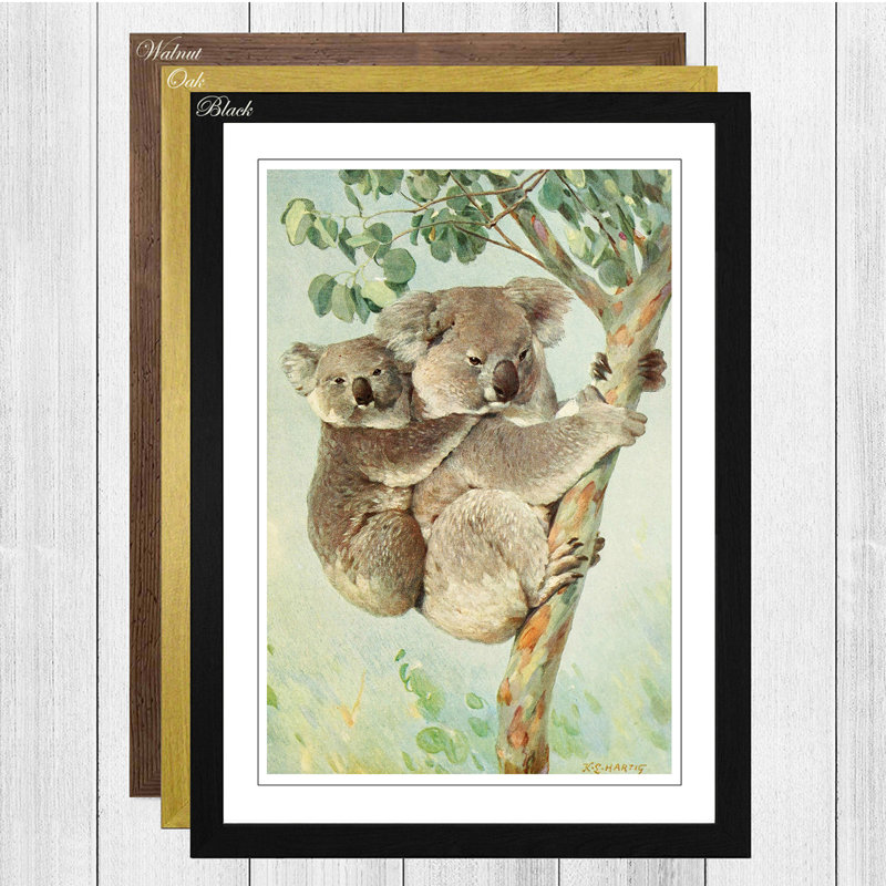 Vintage Koala by Karl Ludwig Hartig - Framed Print, Oak