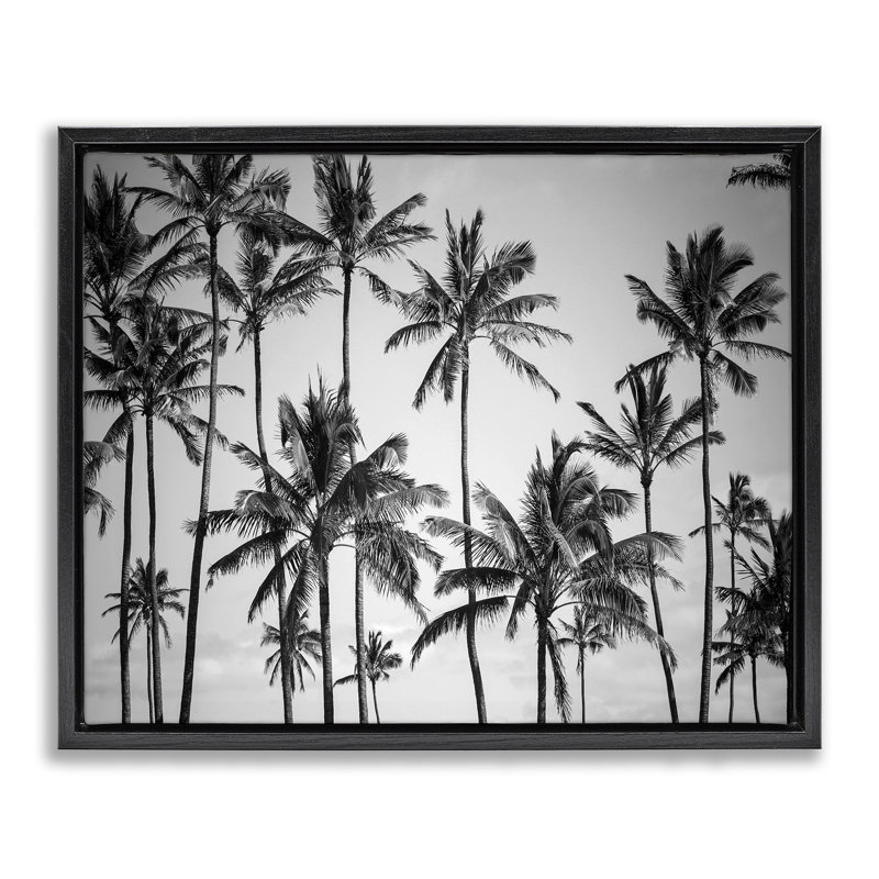 Palmiers, horizon, photographie en noir et blanc sur toile par Design Fabrikken, Cadre flottant noir de jais