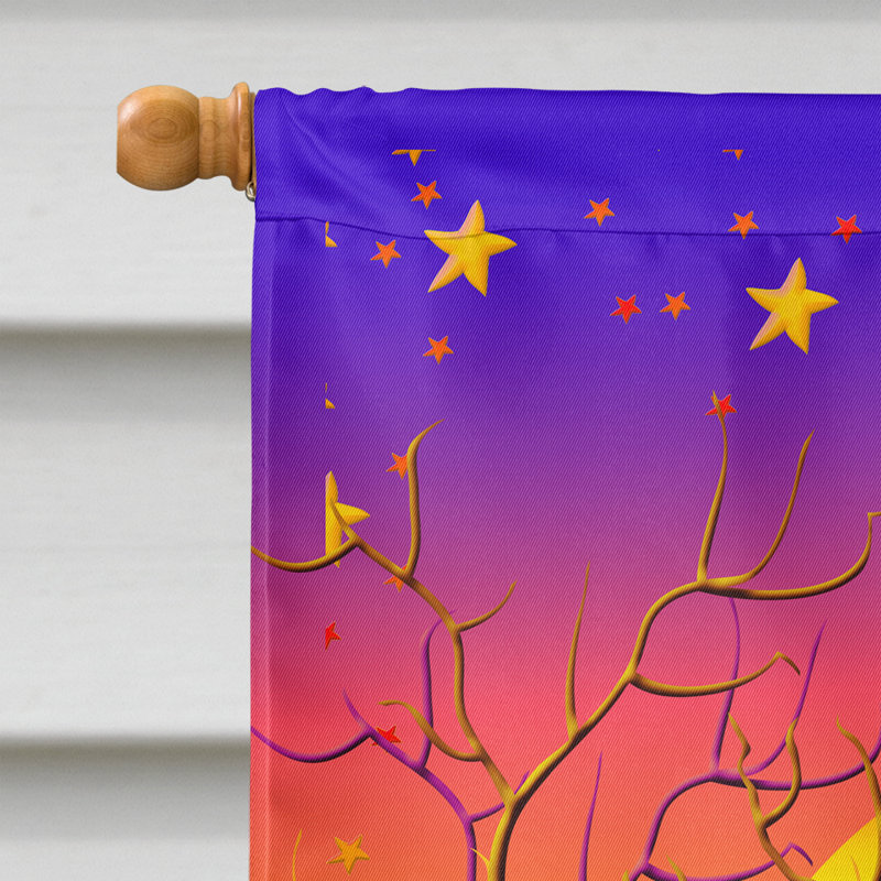 Drapeau de jardin à 2 côtés à épouvantails voodoo voodoo, H 28 po x l 40 po