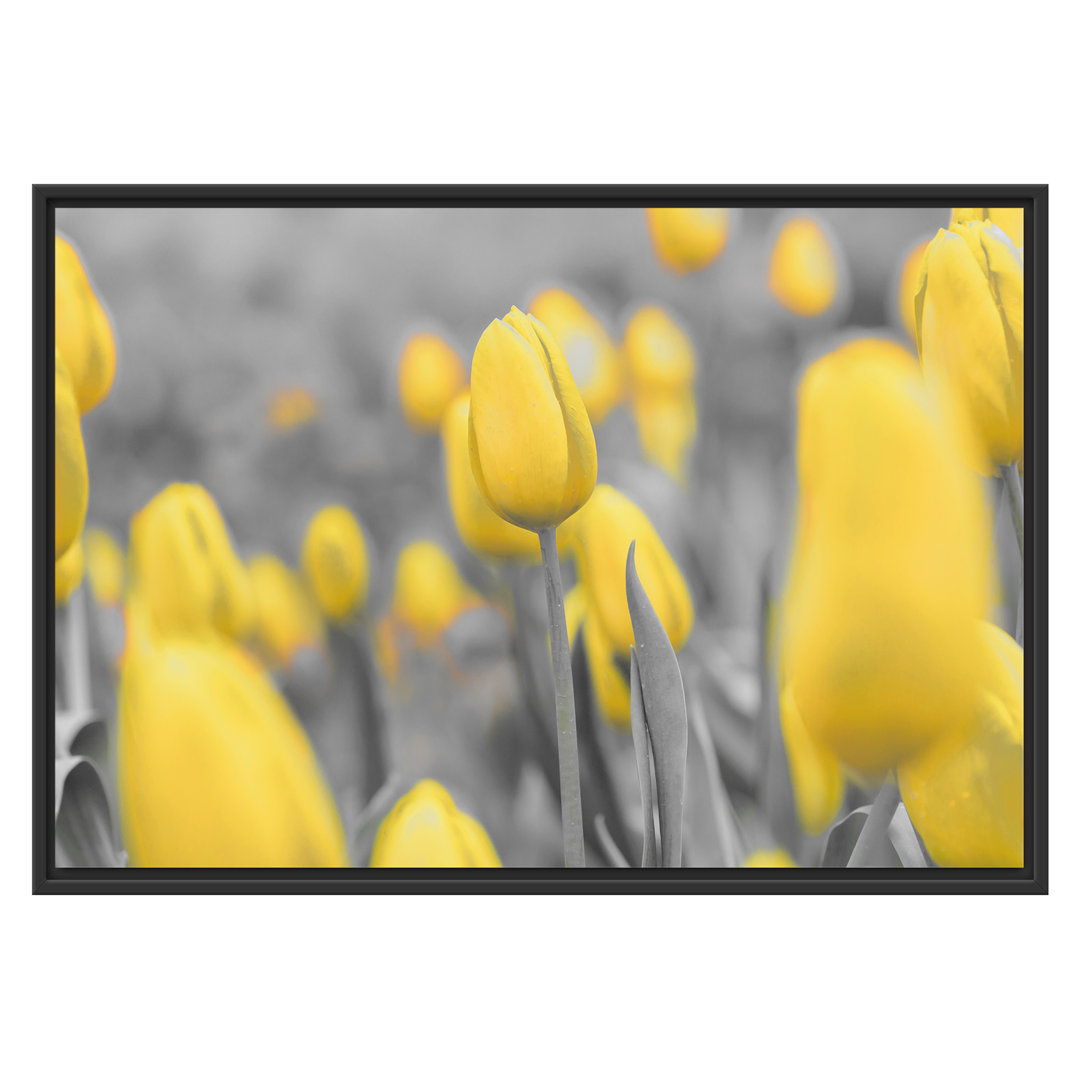 Gerahmtes Wandbild Gelbes Tulpenmeer