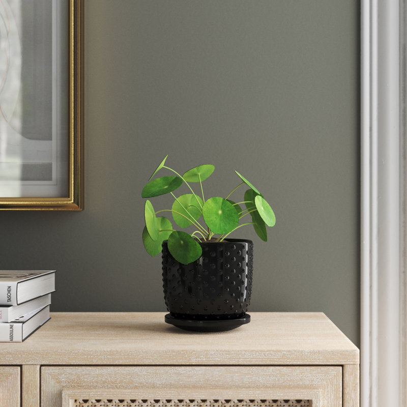 Brodie Ceramic Pot Planter, 1, Black, 5" H x 5" W x 5" D