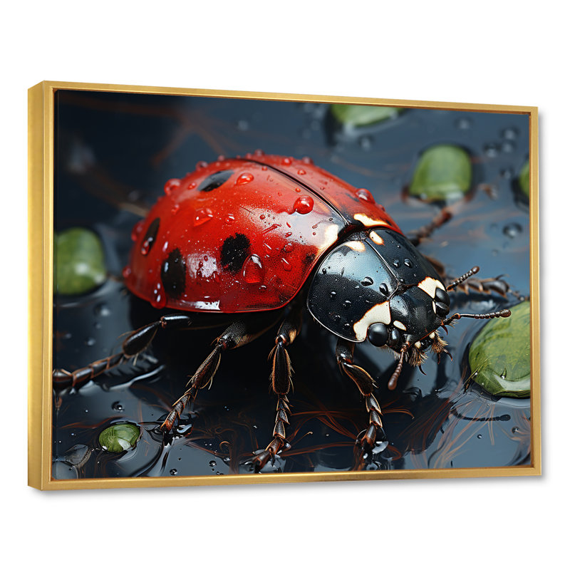 Curious Ladybug Crimson Serenity I - impression, H 12 po x l 20 po x P 1 po, Cadre flottant doré
