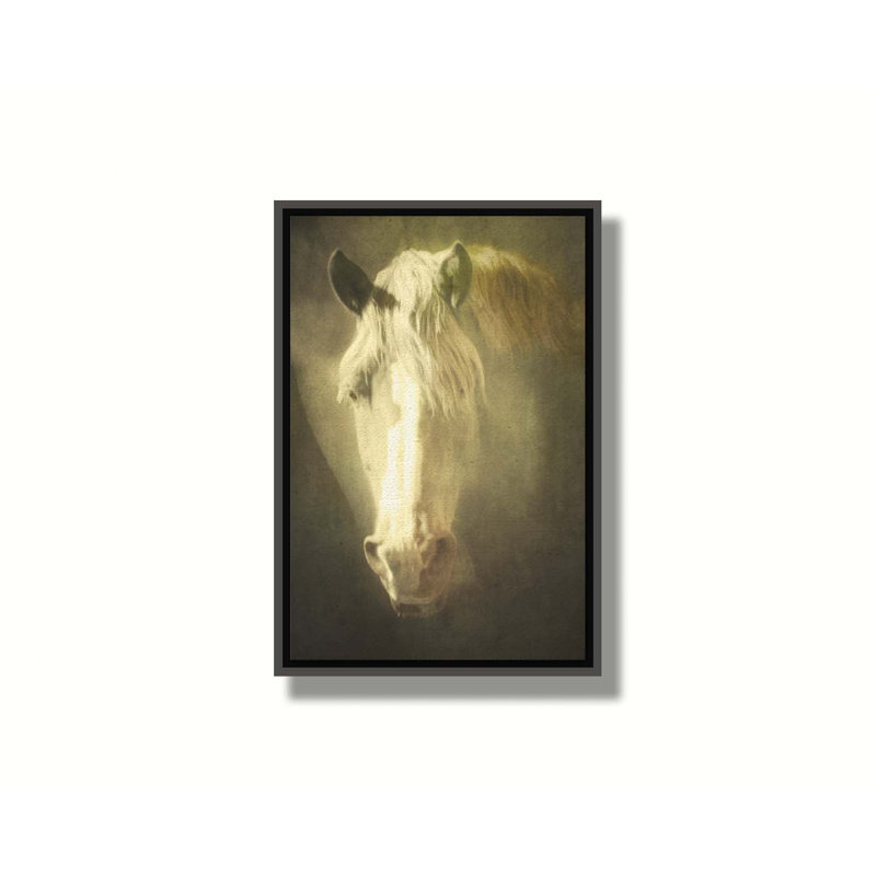 Golden Palomino par Hal Halli. Estampe numérique, H 60,5 po x l 40,5 po, Impression encadrée sans passe-partout, Noir
