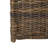 Caden Wicker Trunk-39422891-24551560