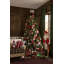 Courtly Regal Red 4" Ribbon