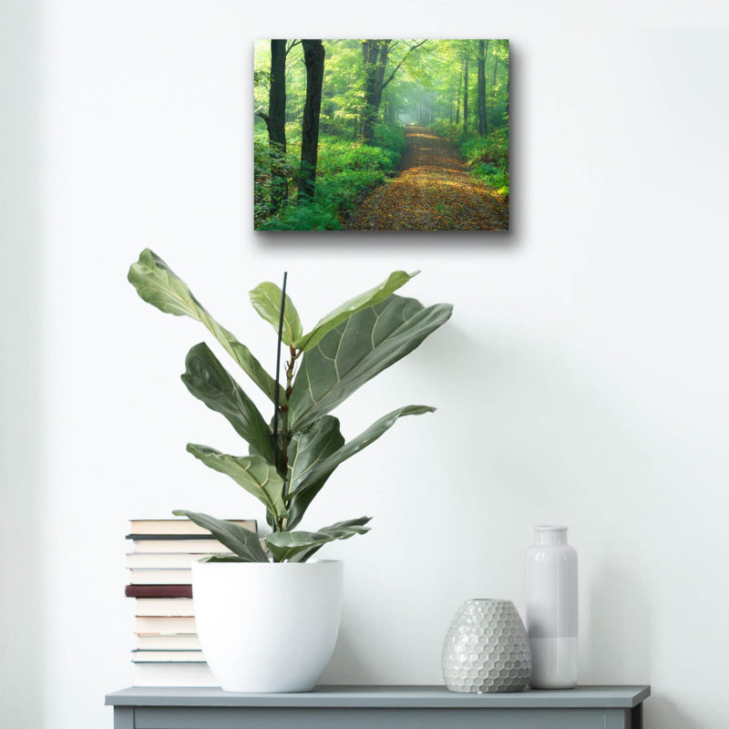 Epic Art 'First Light' by Patrick Zephyr Acrylic Glass Wall Art, 24" x 16", 12" H x 16" W x 0.13" D