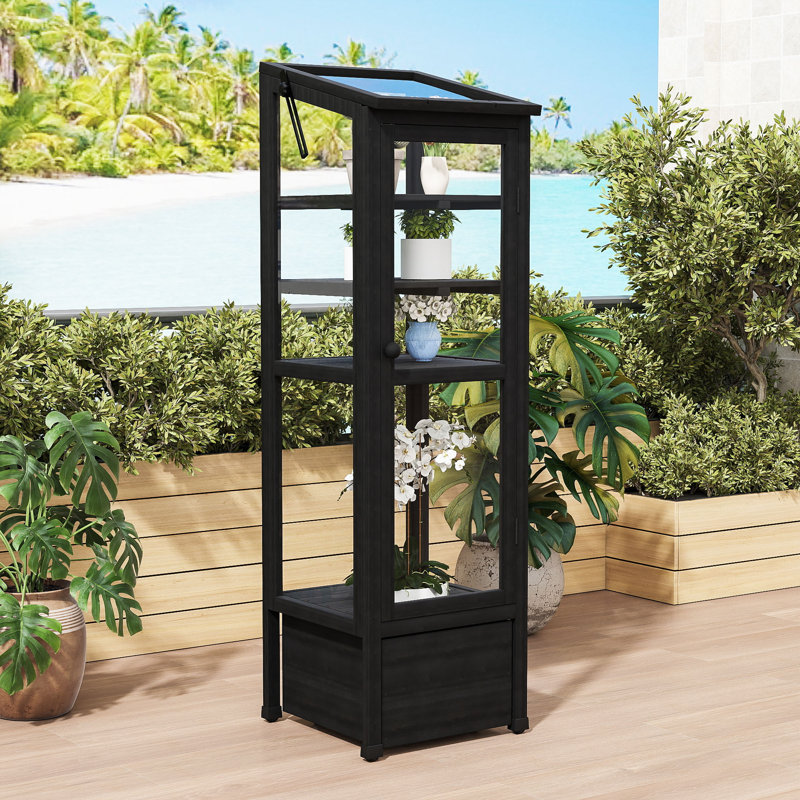 Mini Wood Greenhouse with Adjustable Shelves, Movable Storage Box and Openable Roof, Black