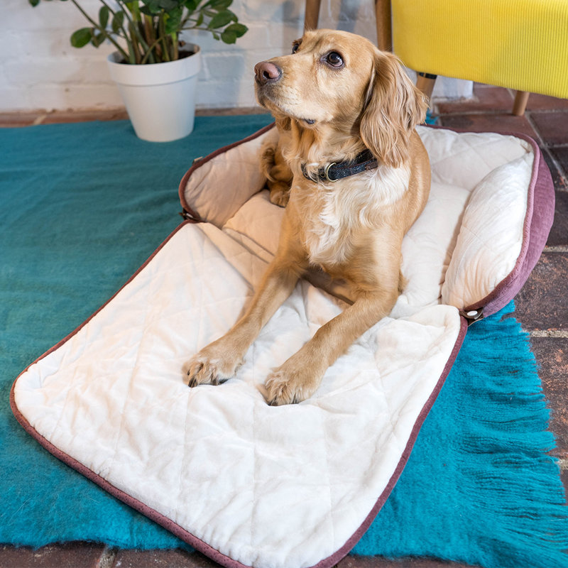 Quilted Luxurious Pet Bed with Cosy Roll Out Blanket , Coral