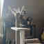 Customer photo 2 of 2