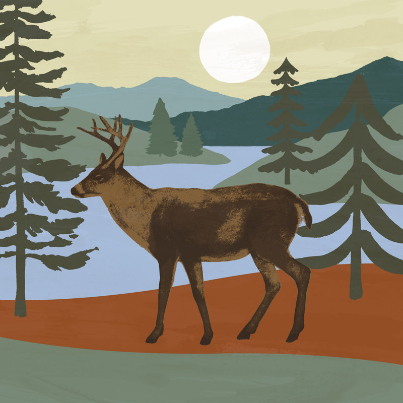 Trailside Animals IV by Victoria Barnes - Wrapped Canvas Print, 30cm H x 30cm W x 3.8cm D