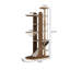 Structure d'escalade pour chat 19,69 "Home