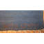 Scandinavian One-of-a-Kind Rectangle 4' X 6'8" Flatweave Area Rug