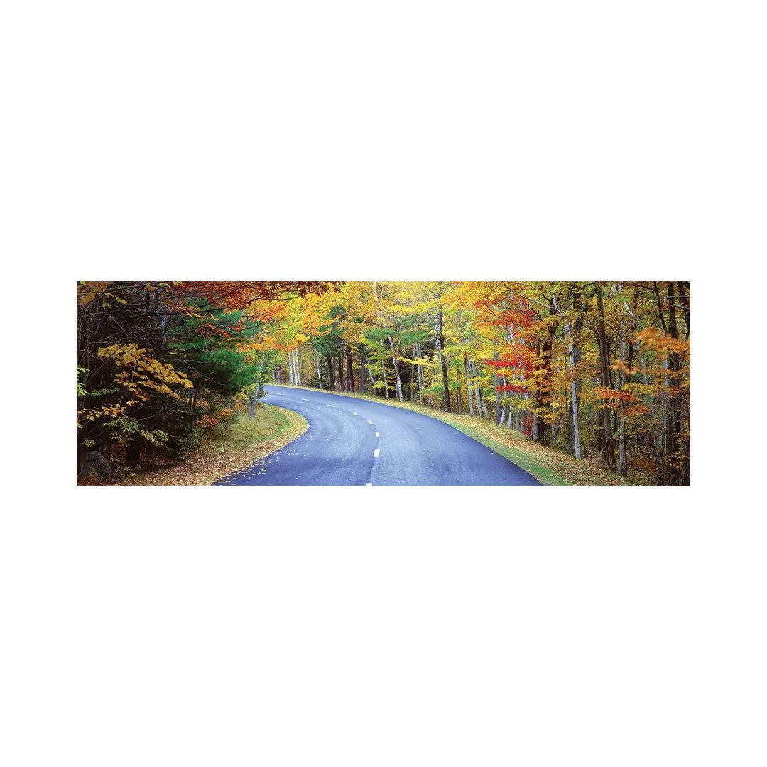 Road Passing Through A Forest, Park Loop Road, Acadia National Park, Maine, USA by Panoramic Images - Wrapped Canvas Panoramic Print