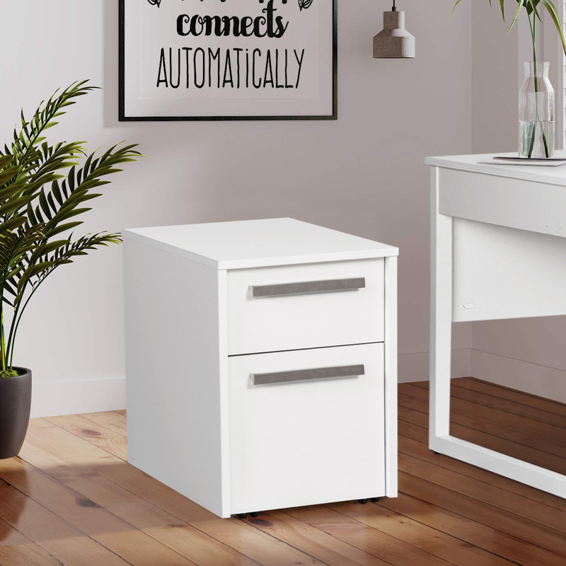 Buckie 15.8'' Wide 2 -Drawer Mobile File Cabinet