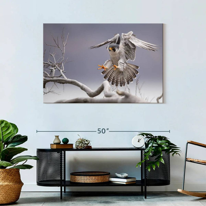 Peregrine Falcon, 30" H x 45" W