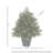 36" Lit Potted Green Spruce Tree