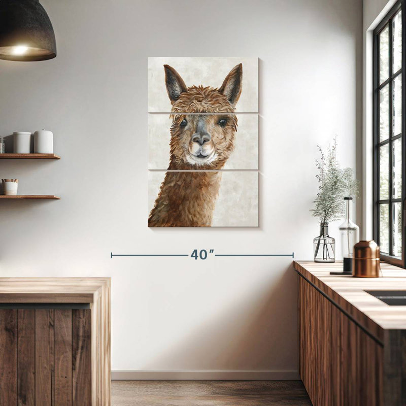 Brampt Suri Alpaca II, H 38 po x l 24 po