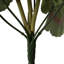 Polyethylene (PE) Geranium Arrangement