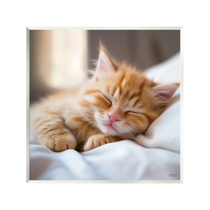 Sleeping Orange Kitten Wall Plaque Art by RB