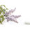 «Pale Lilacs I» par Sue Schlabach - reproduction d'art sur toile tendue