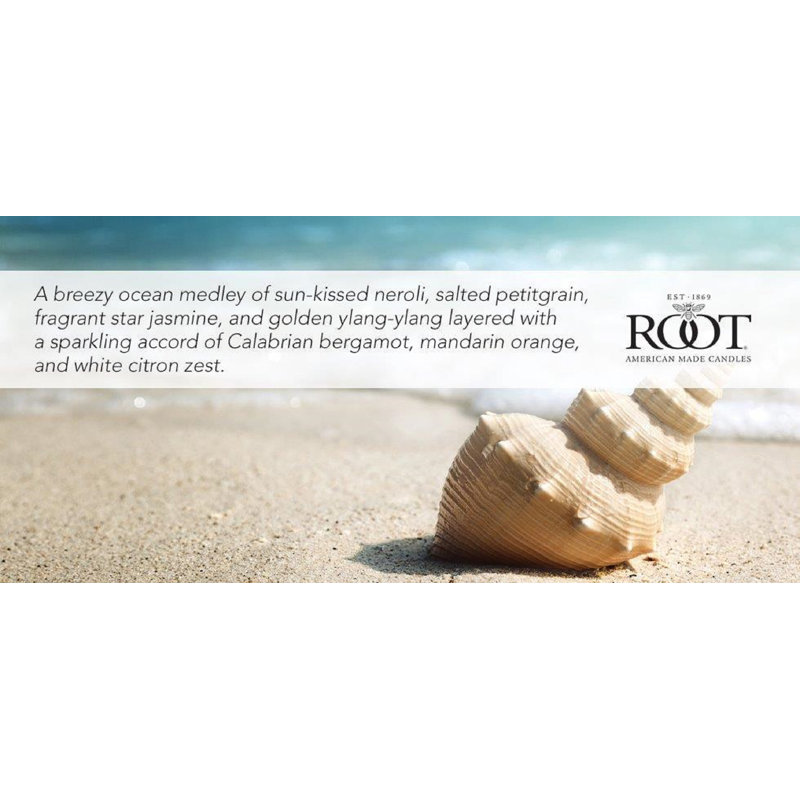 Salt Mist and Sand Scented Jar Candle, Jar 10.5 oz.