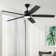 Ceiling Fans With Lights, Smart Ceiling Fan With App And Remote Control