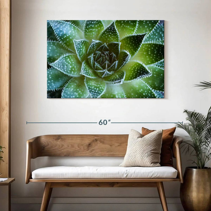 Harnek Lace Aloe Succulent, 30" H x 45" W