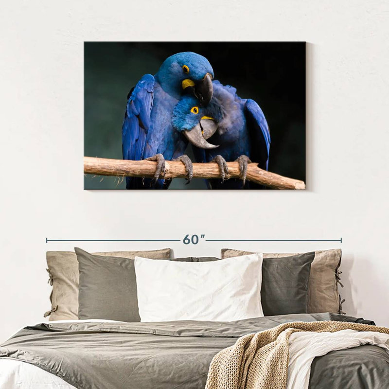 Hyacinth Blue Macaws, 30" H x 45" W