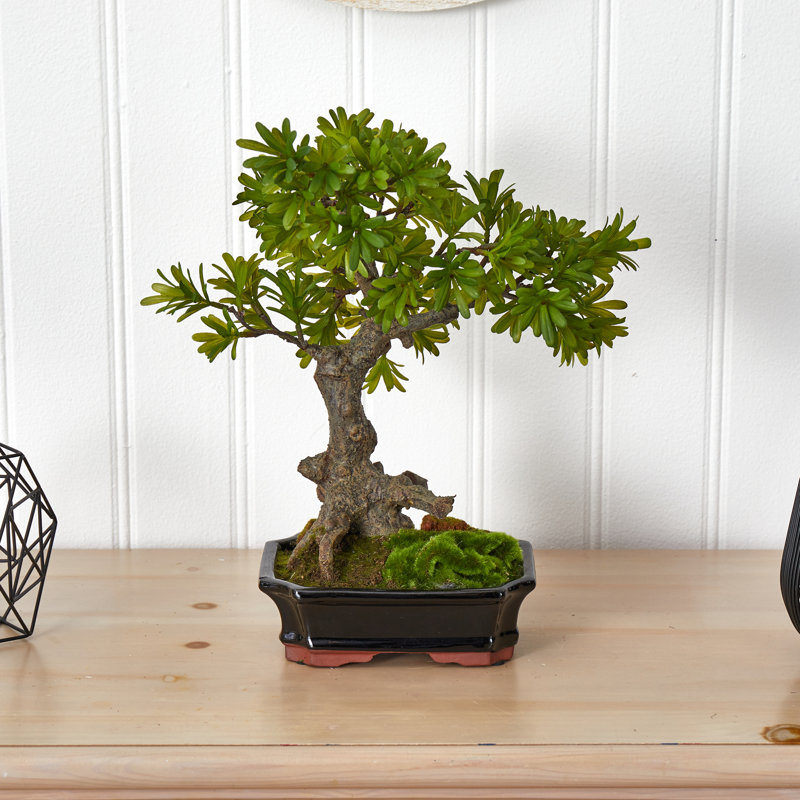 14'' Faux Bonsai Tree in Ceramic Planter