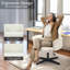 Chaise de bureau Cannoy-1406467836