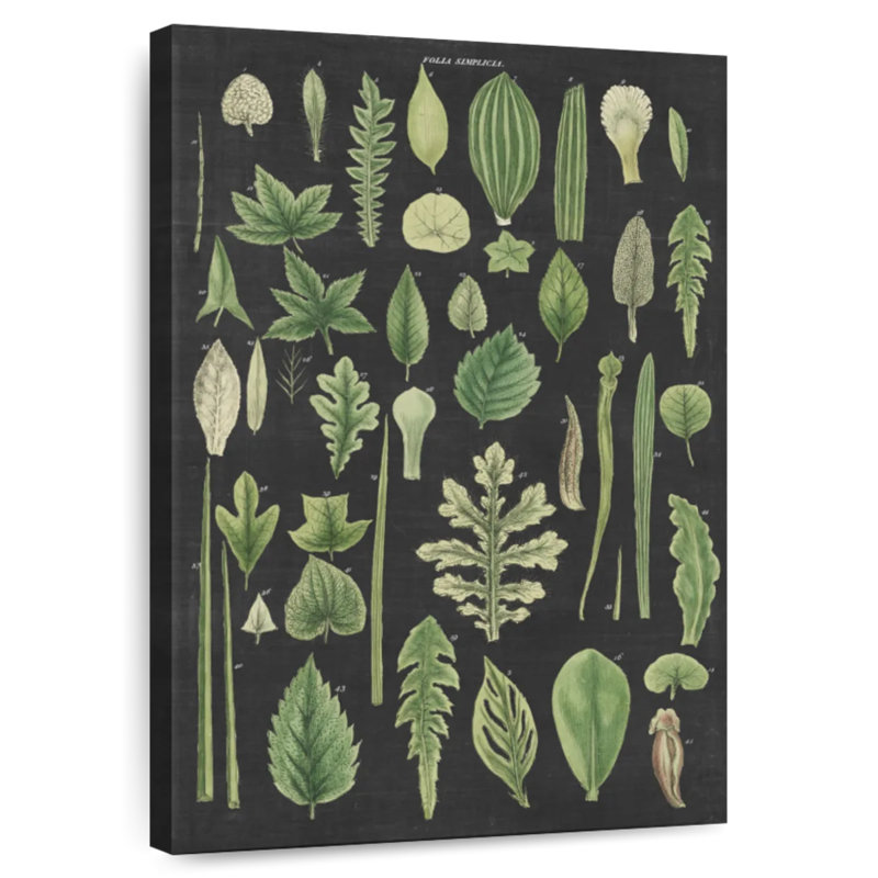 Harnek assortiment de feuilles gris anthracite, H 24 po x l 16 po